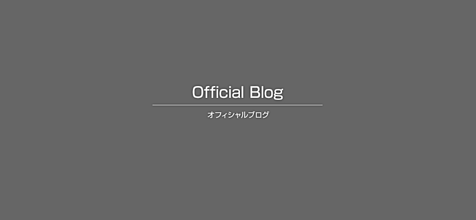 壁付き手すり設置